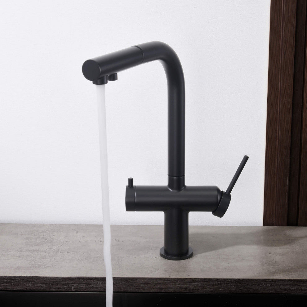 Circular 2-in-1 Water Filter Kitchen Pull Out Faucet, Matte Black