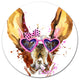 Brown Cute Dog With Heart Glasses, Animal Large Disc Metal Artwork, 36"