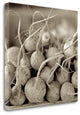 "Marketplace - 26" By Alan Blaustein, Giclee Print on Gallery Wrap Canvas