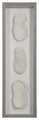 Uttermost White Coral Shadow Box
