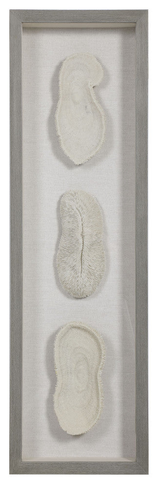 Uttermost White Coral Shadow Box