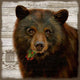 Vintage French Chocolate Brown Bear Wall Art
