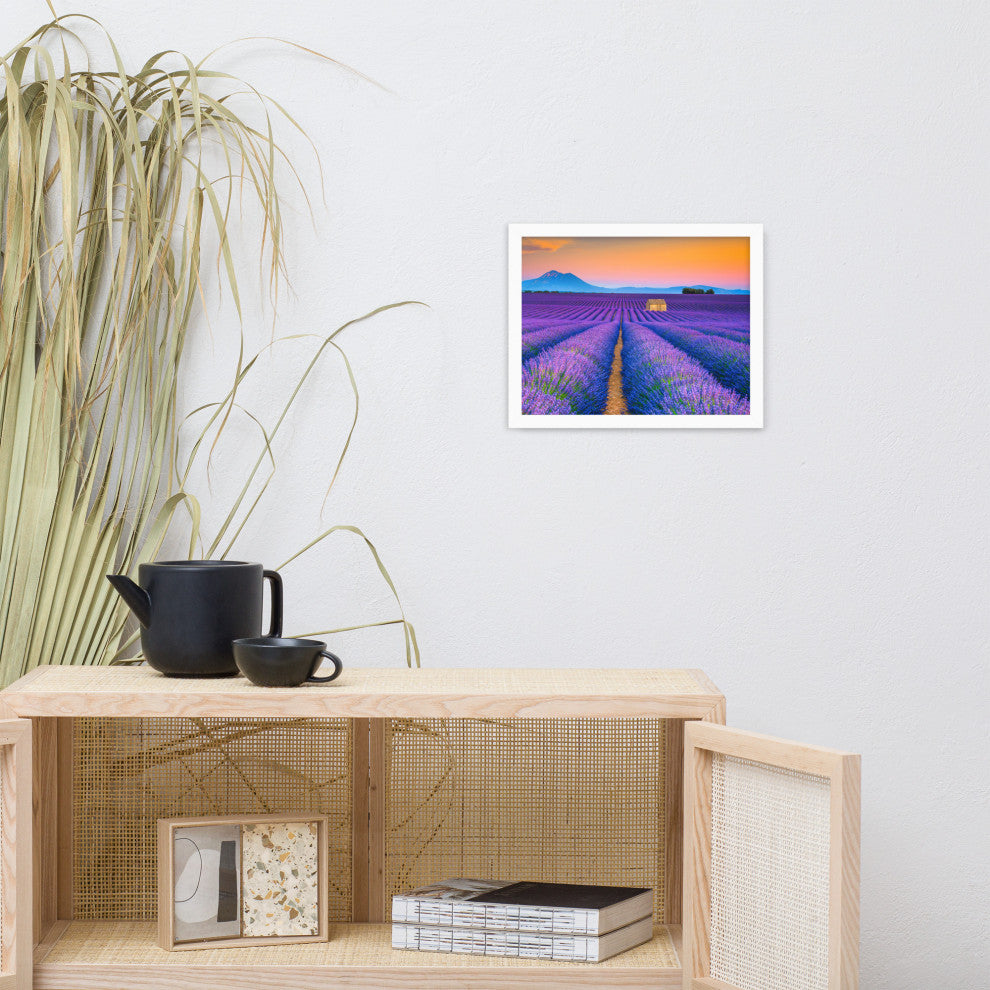 Blooming Lavender Field and Sunset Floral Landscape Framed Photo Wall Art Prints, White, 11" X 14"