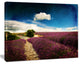 Lavender Field with Dramatic Blue Sky, Large Landscape Canvas Art, 60"x28"
