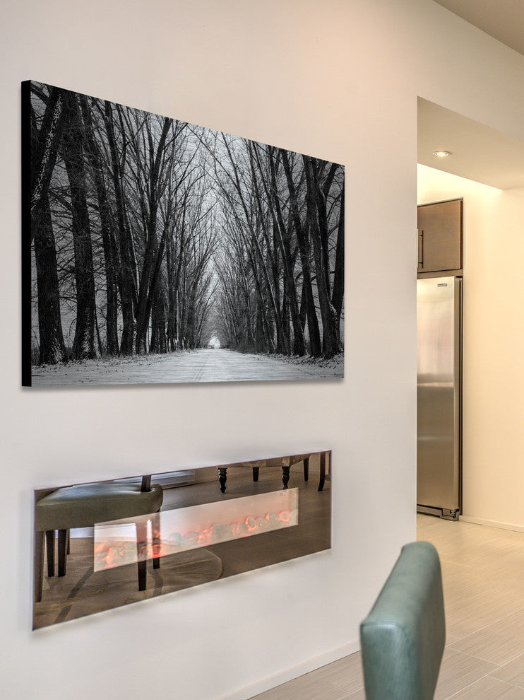"Rows of Trees" Print on Brushed Aluminum, 60"x40"