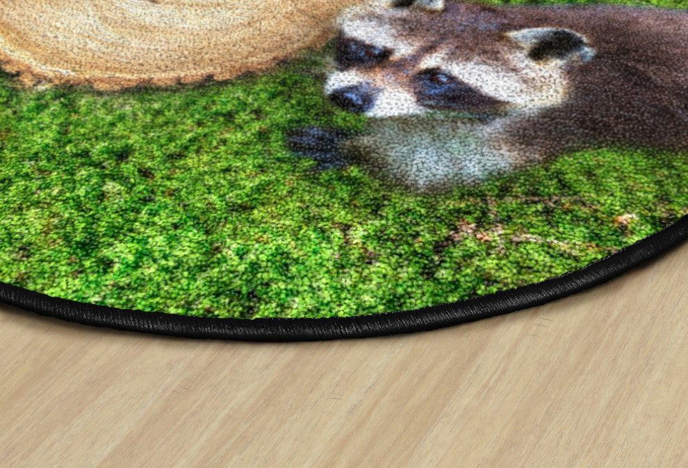 Flagship Carpets VA1003-S12FS 16" Set Of 12 Counting Seating Stumps Learning Rug