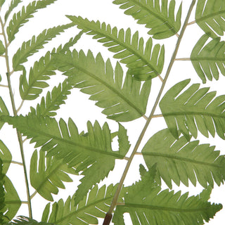 Uttermost Country Ferns, 2-Piece Set