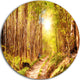 Autumn In Denmark, Photo Landscape Round Metal Wall Art, 11"