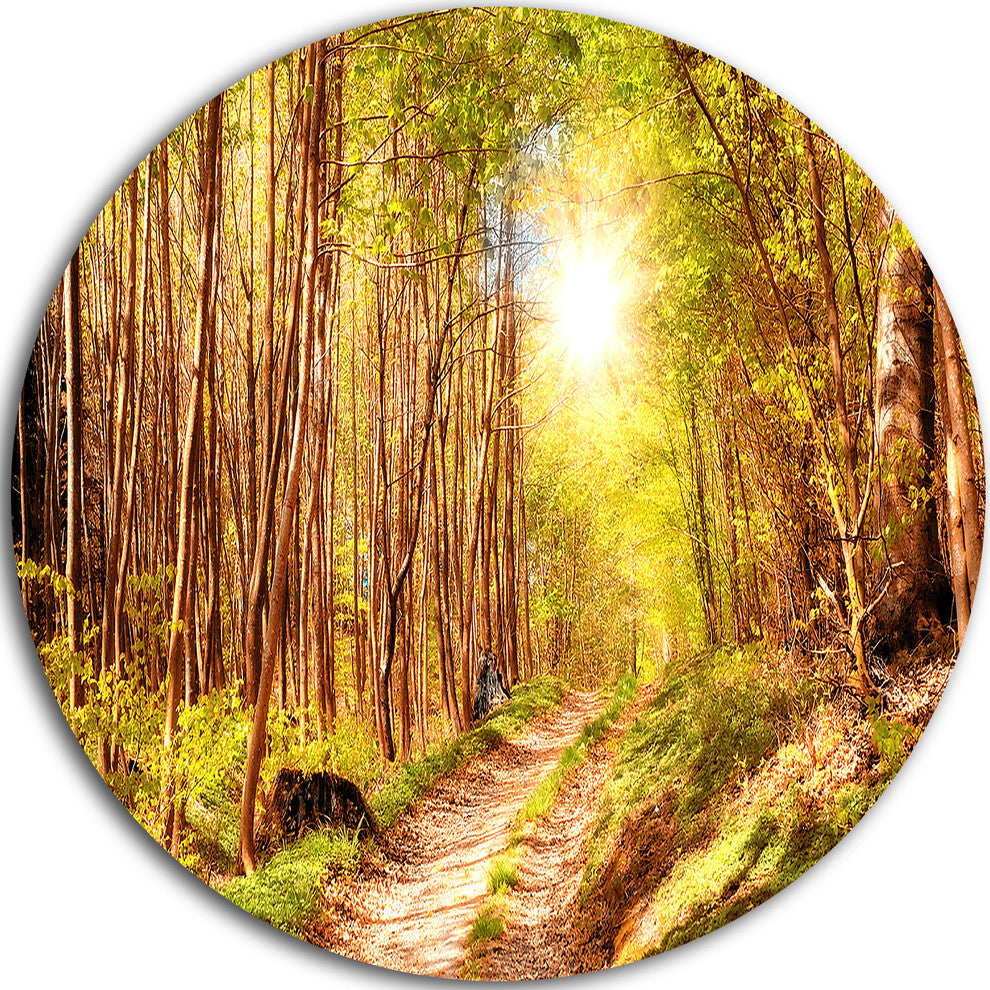 Autumn In Denmark, Photo Landscape Round Metal Wall Art, 11"