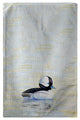 Betsy Drake Bufflehead Duck Beach Towel