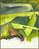 Here Before, Giclee Reproduction Artwork