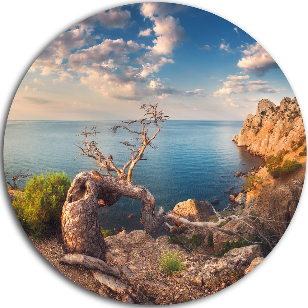 Sunny Morning With Old Tree, Seashore Photo Disc Metal Artwork, 23"