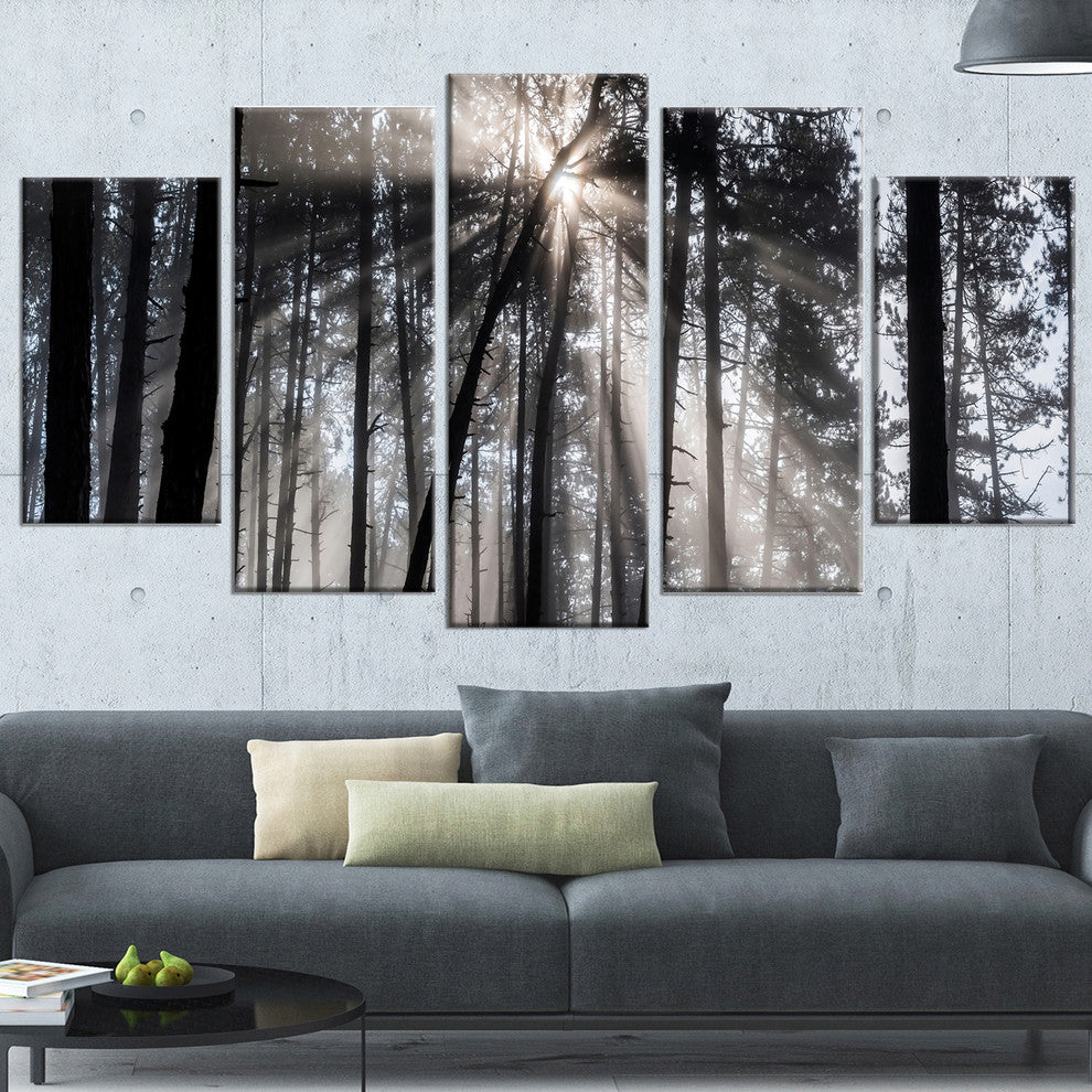 "Sunbeams through Black White Forest" Forest Wall Artwork Print, 5 Panels