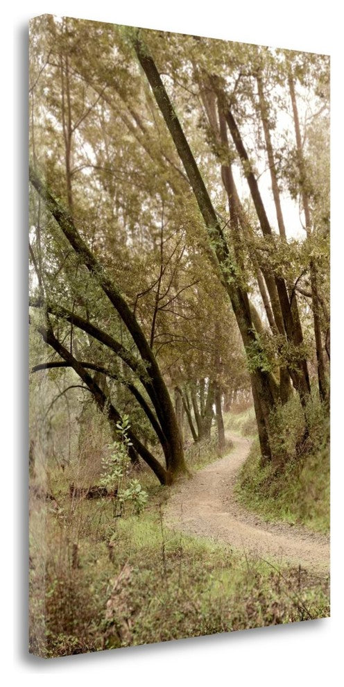 "Oak Tree - 49" By Alan Blaustein, Giclee Print on Gallery Wrap Canvas