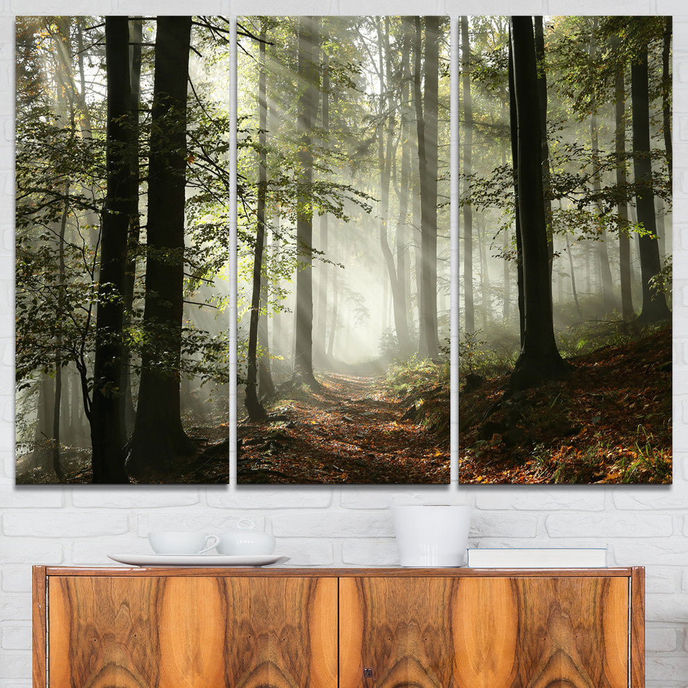"Light in Dense Fall Forest With Fog" Wall Art, 3 Panels, 36"x28"