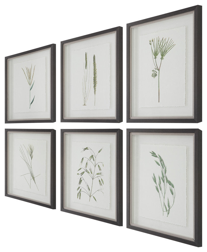 Uttermost Forest Finds Framed prints, 6-Piece Set