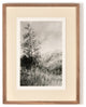 Landscape Study I By Aileen Fitzgerald