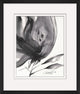 Flourish In Ink 4, Giclee Reproduction Artwork