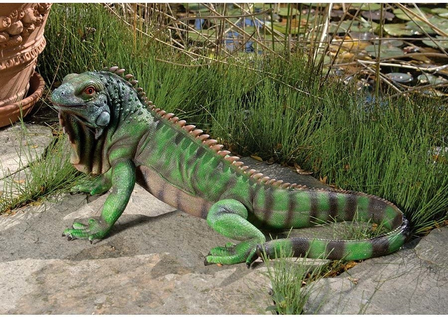 Iggy the Iguana Statue