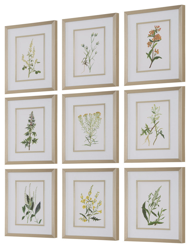 Uttermost Botanical Flowers Framed Prints, Set of 9