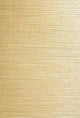 Xinmei Beige Grasscloth Wallpaper, Bolt
