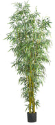 8' Fancy Style Bamboo Silk Tree, Green
