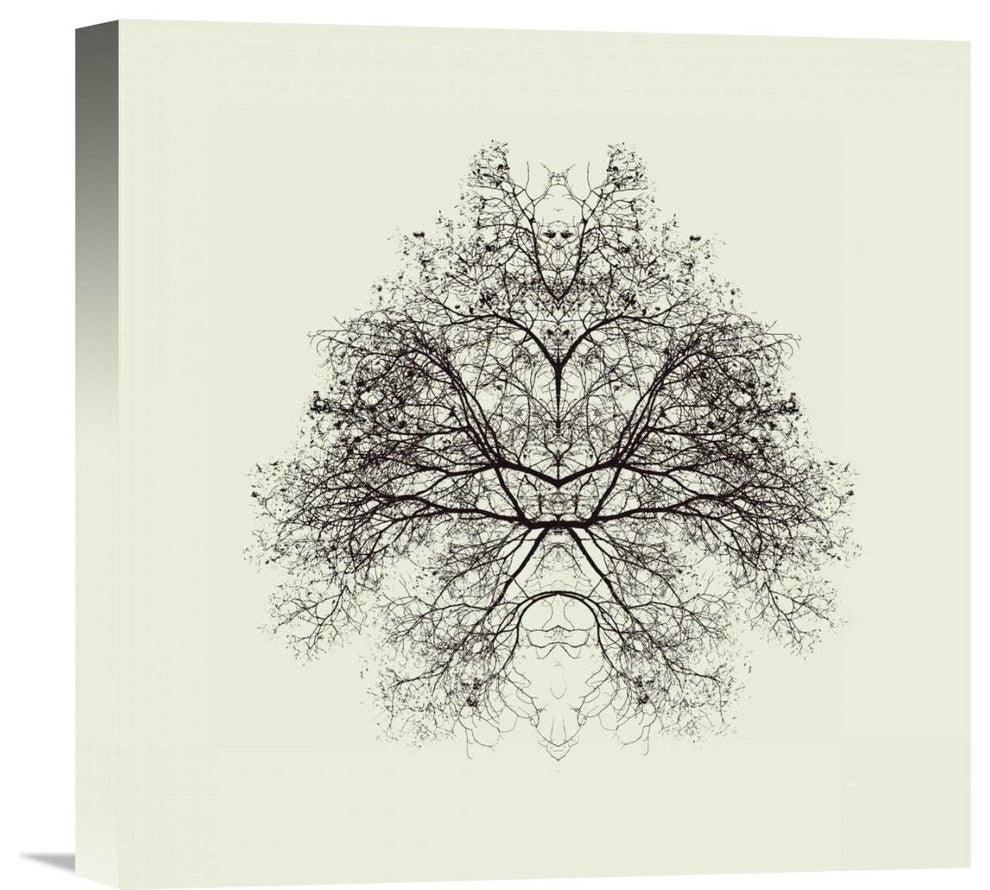 "Rorschach Test" Stretched Canvas Giclee by Nadav Jonas, 16"x16"