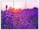 Summer Sunset over Lavender Field, Floral Triptych Canvas Print, 36x28, 3 Panels