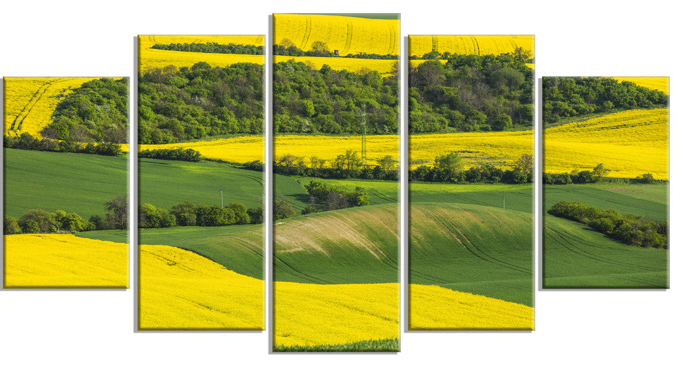 Rapeseed Fields and Green Wheat, Landscape Canvas Art Print, 60"x32", 5 Panels