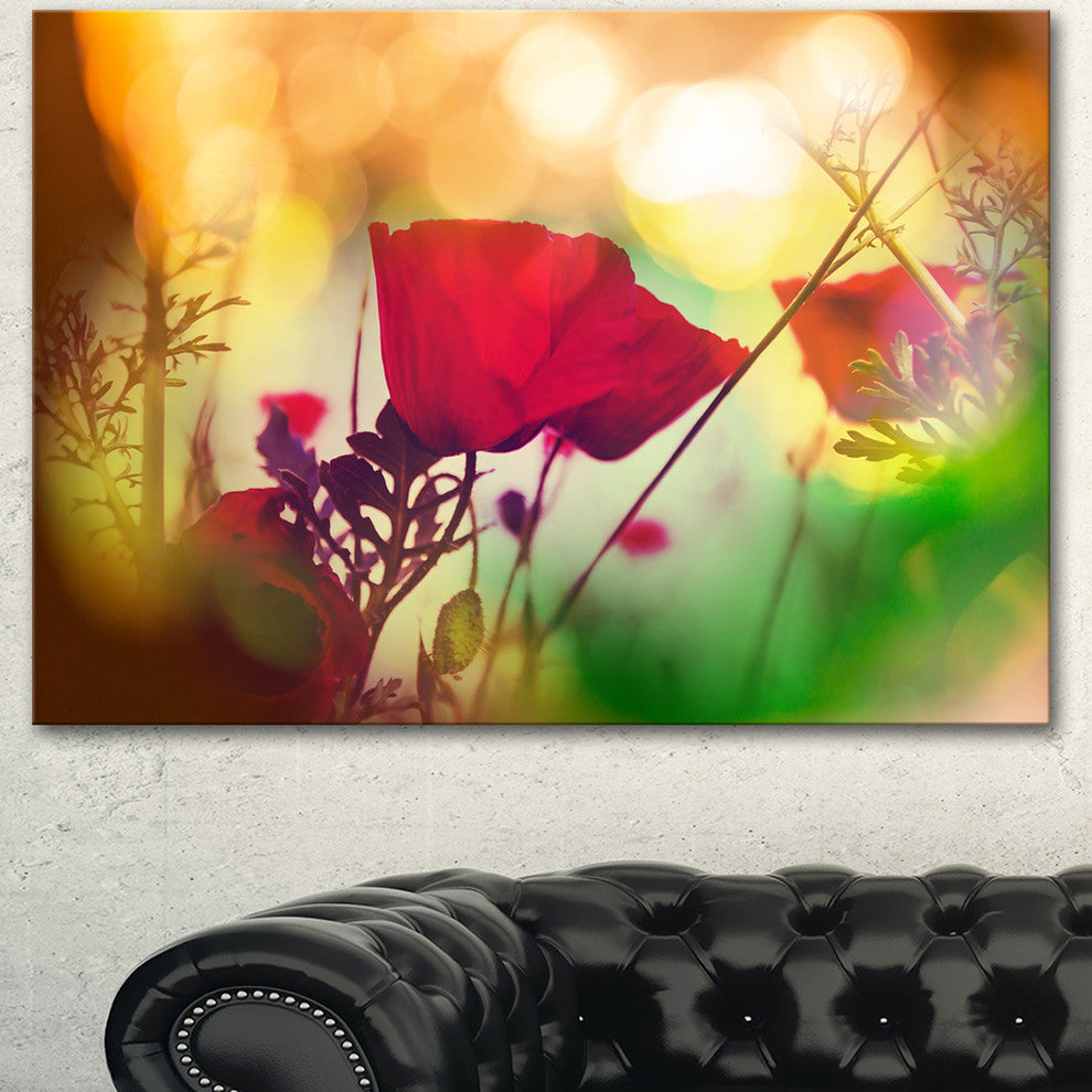 Poppy Flowers with Bokeh Background, Floral Canvas Art Print, 40"x30"