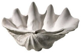 Clam Shell Bowl | White by Cyan