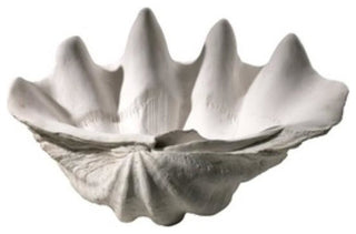 Clam Shell Bowl | White by Cyan