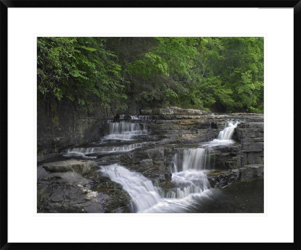 "Dismal Falls, Jefferson National Forest, Virginia"  by Tim Fitzharris, 32x26"