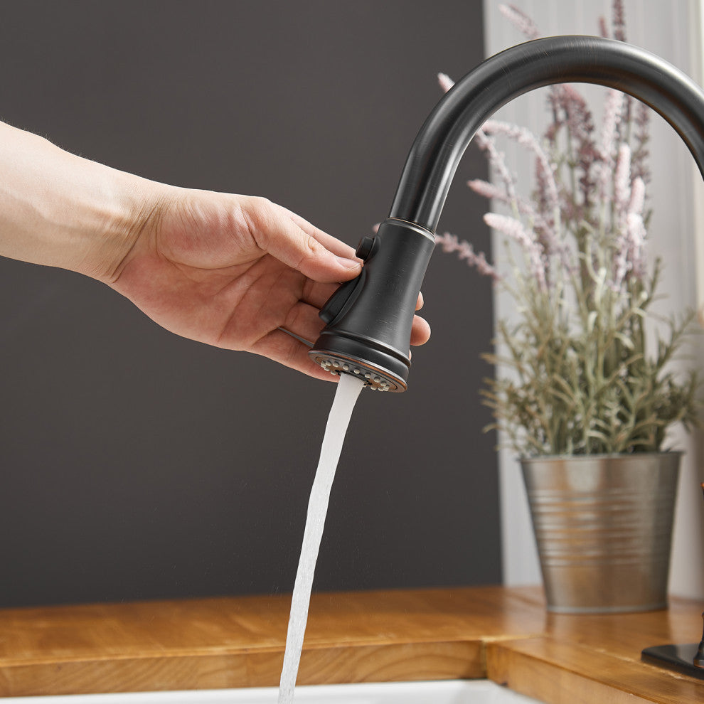 Wellfor Single Level Stainless Steel Kitchen Sink Faucet With Pull down Sprayer, Oil Rubbed Bronze