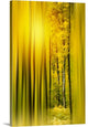 "Lost in the Moment" Wrapped Canvas Art Print, 32"x48"x1.5"