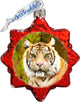 Safari, Set of 3 Ornament