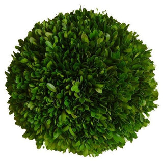 Boxwood Ball 8"