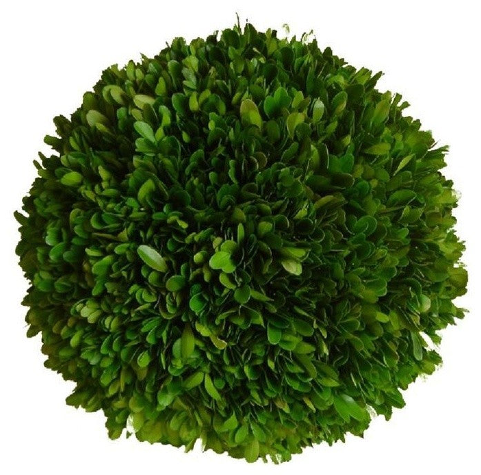 Boxwood Ball 8"