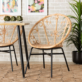 Zenaida Modern Bohemian Natural Brown Rattan and Black Metal Chair