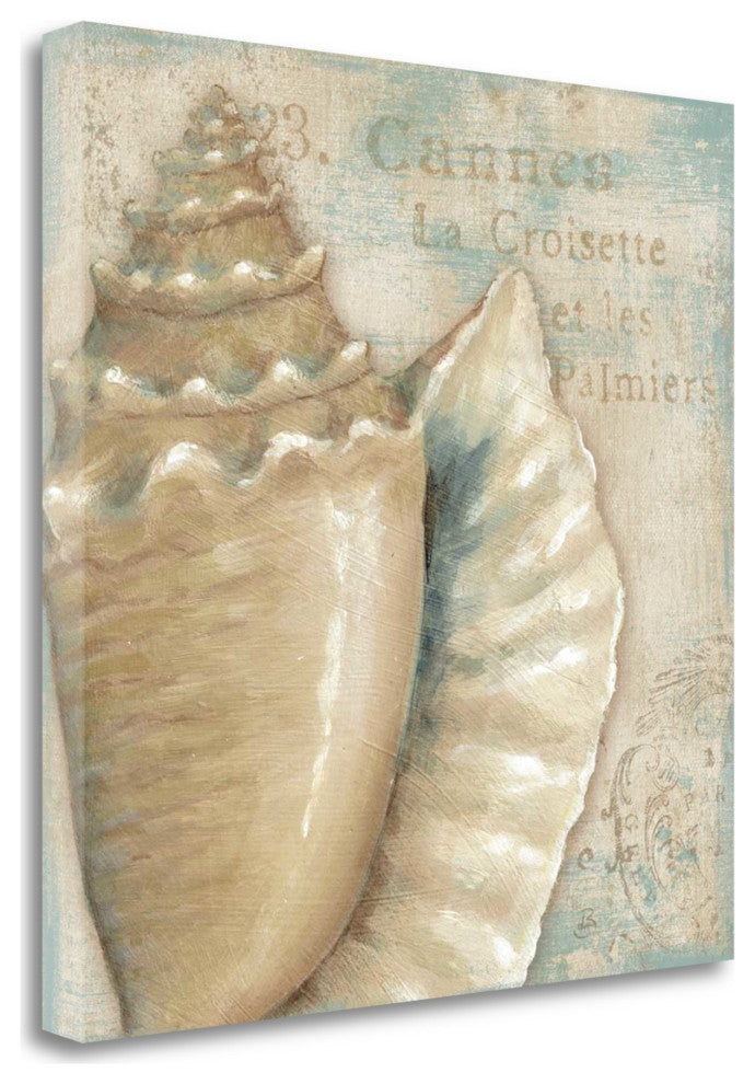 Rustic French Seashell 3 Giclee Wrap Canvas Wall Art