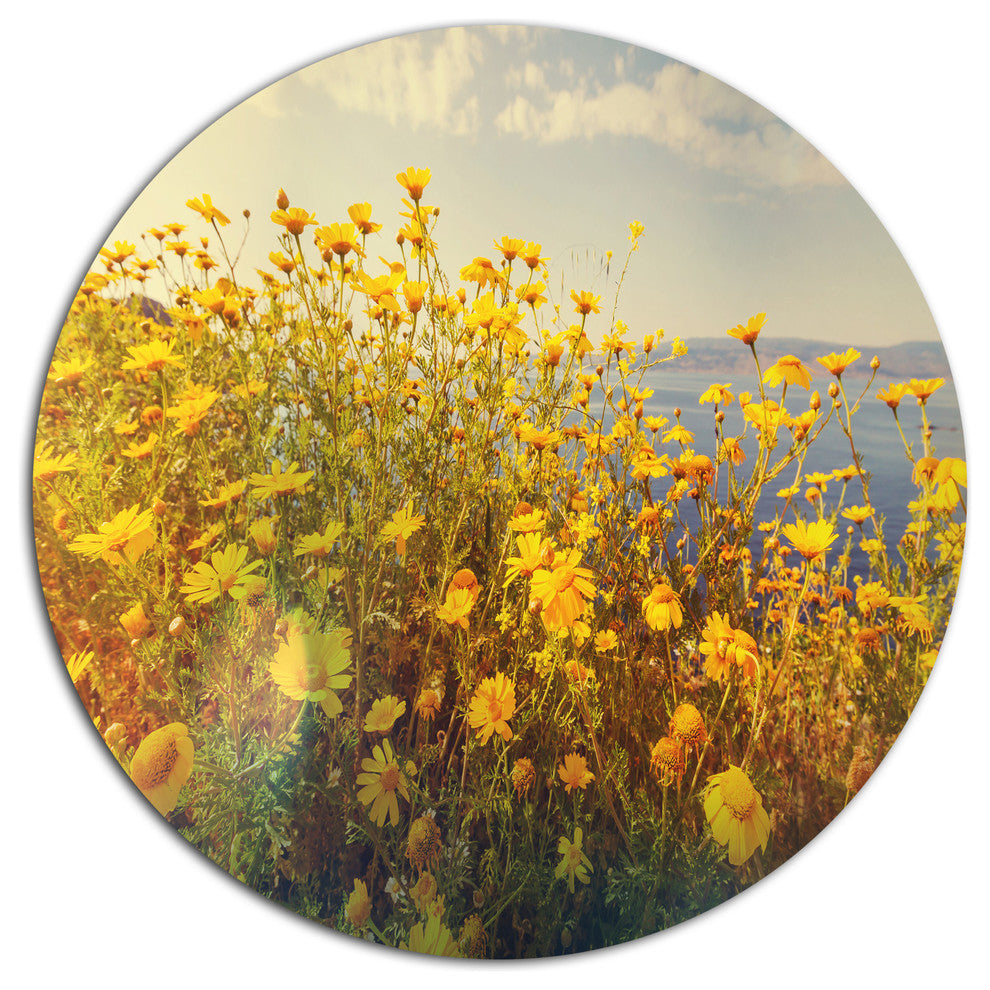 Wild Yellow Flowers Meadow, Floral Large Disc Metal Wall Art, 36"