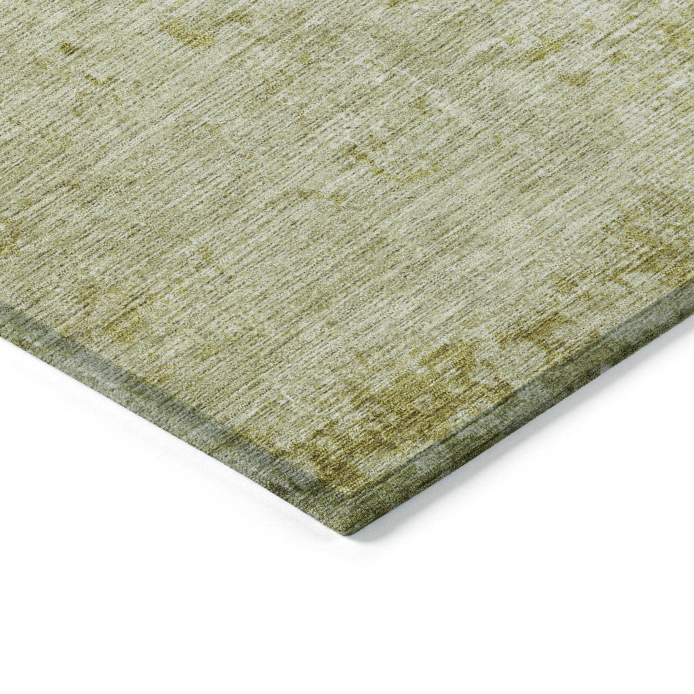 Machine Washable Indoor/Outdoor Chantille ACN1901 Aloe 10' x 14' Rug