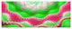 Snake Skin Exotic Flower, Abstract Wall Art Canvas, 70"x28", 6 Panels