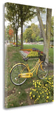 "Japan Bicycle - 2" By Alan Blaustein, Giclee Print on Gallery Wrap Canvas