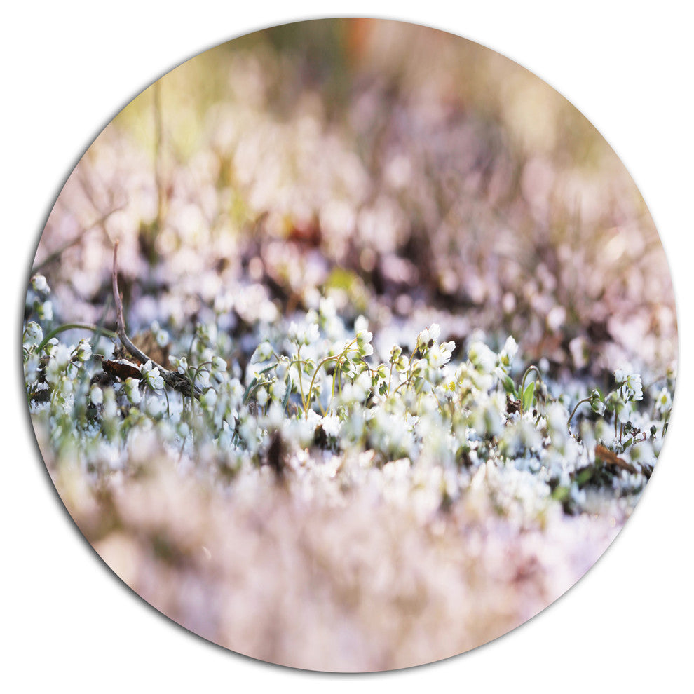 Little White And Pink Flowers, Flower Round Wall Art, 11"
