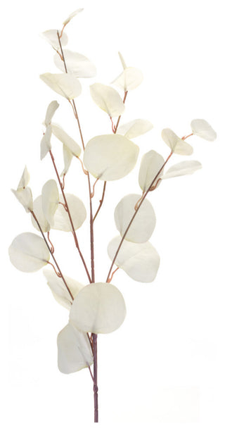 Eucalyptus Spray, 6-Piece Set