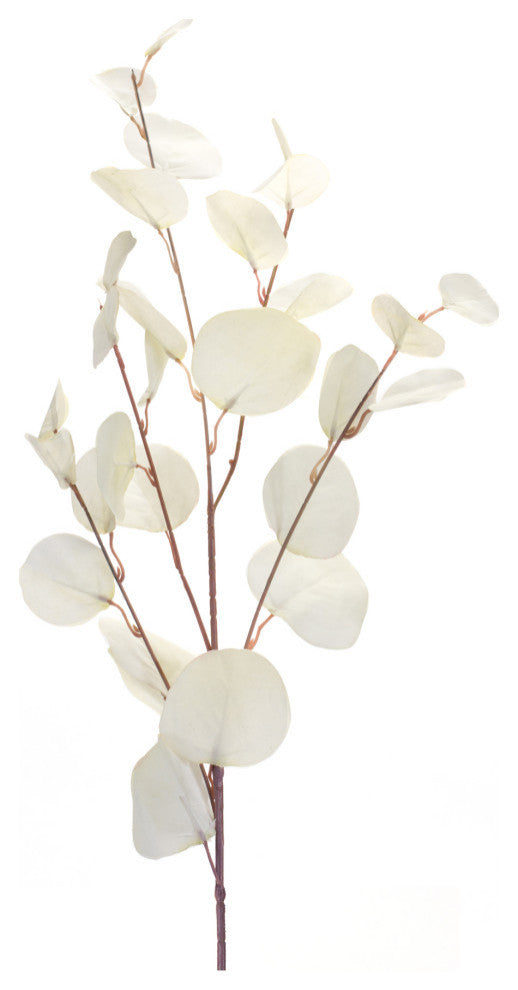 Eucalyptus Spray, 6-Piece Set