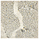 "Neutral New York Map" Digital Paper Print by Laura Marshall, 20"x20"