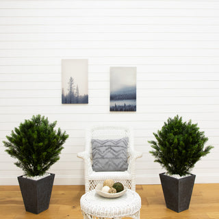 Lifestyle shot in a room showing two cedar trees in pots, with interior décor.