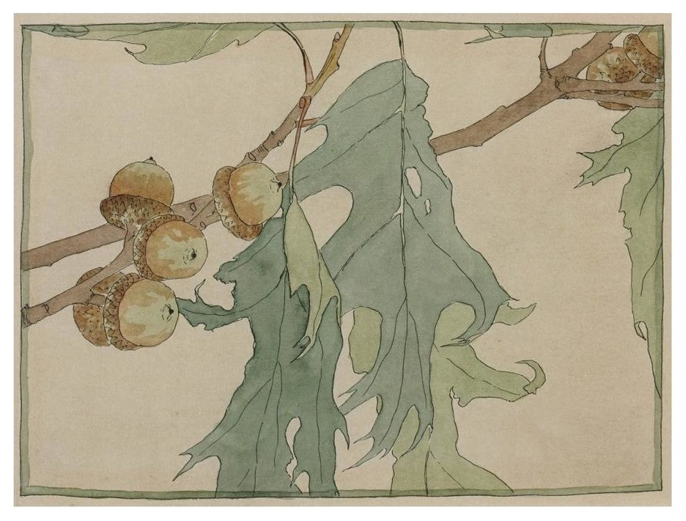 "Oak/Acorns" Digital Paper Print by Hannah Borger Overbeck, 50"x38"